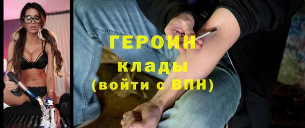 мет Алексин
