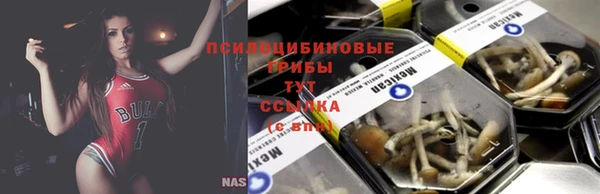 скорость Алексеевка