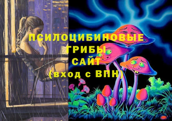 мет Алексин