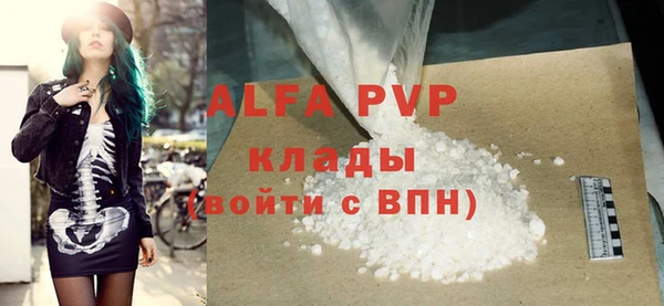 мет Алексин