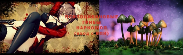 мет Алексин