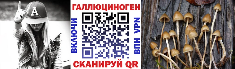 как найти наркотики Коркино KRAKEN как зайти Псилоцибиновые грибы Psilocybine cubensis